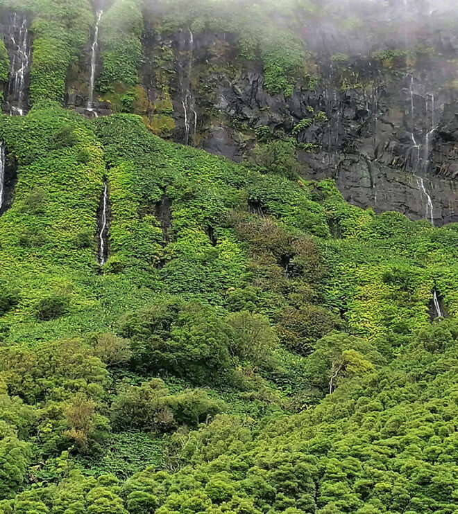 Poco da Ribeira do Ferreiro (Flores, Açores)
