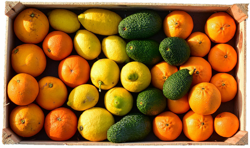 Kiste von Luzinha: Jeden Monat ein bisschen anders: der Südfrüchte-Mix
